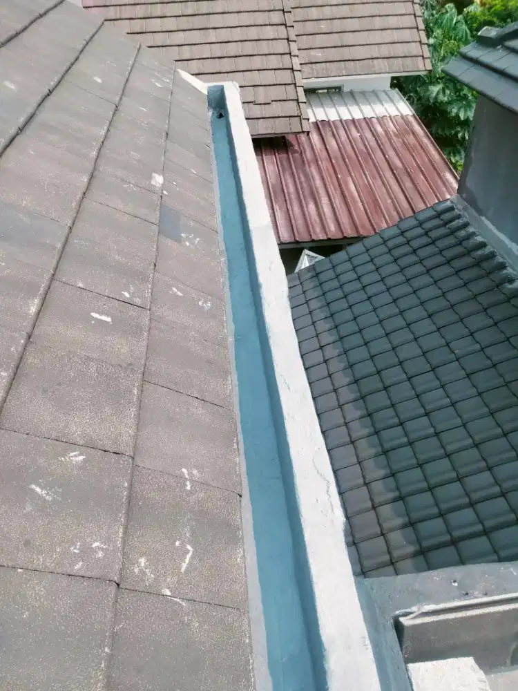 Tukang perbaikan atap bocor dan renovasi rumah dll.