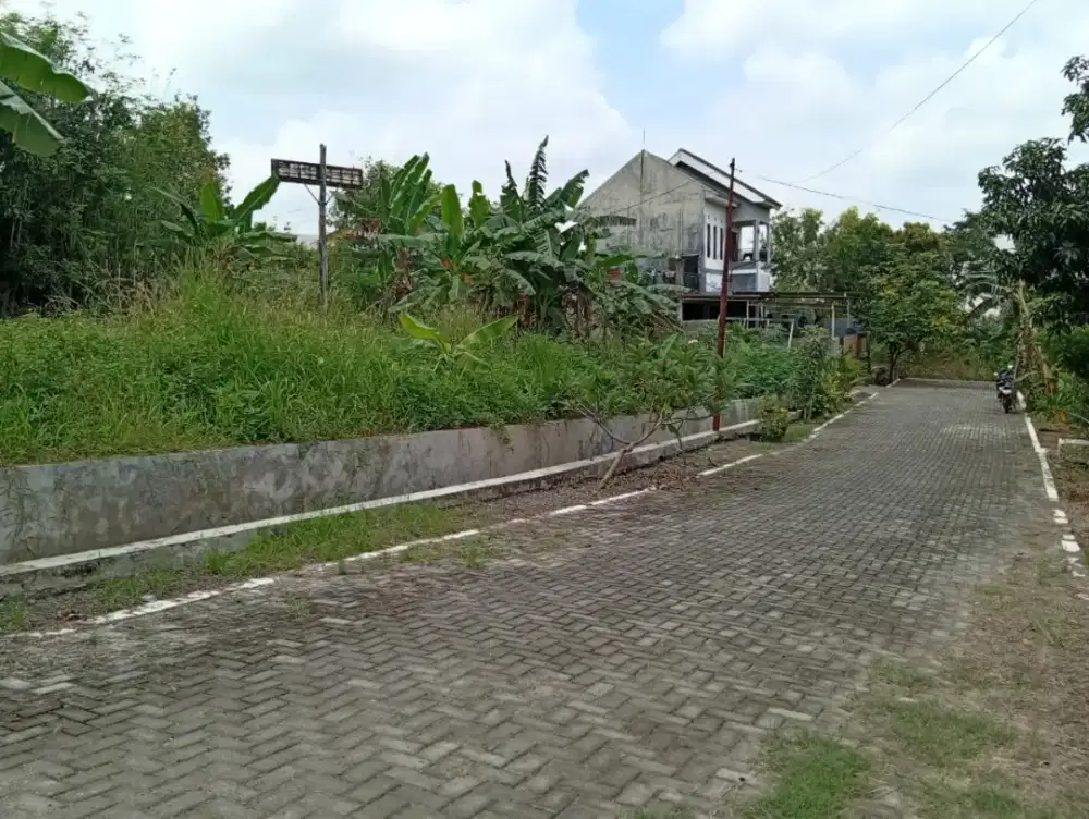 Tanah ciamik nempel jalan SHM ready siap bangun di kota semarang