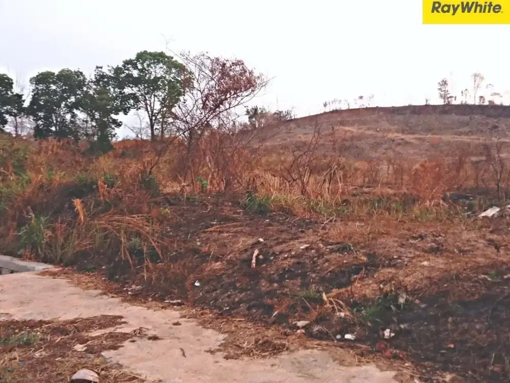 Dijual Tanah di Gedong Tataan, Pesawaran, LAmpung (KOde : ALF 3583)