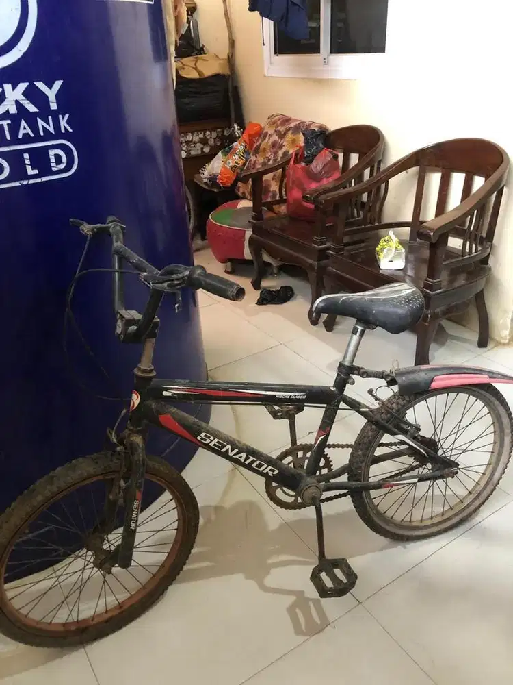 Sepeda anak santai
