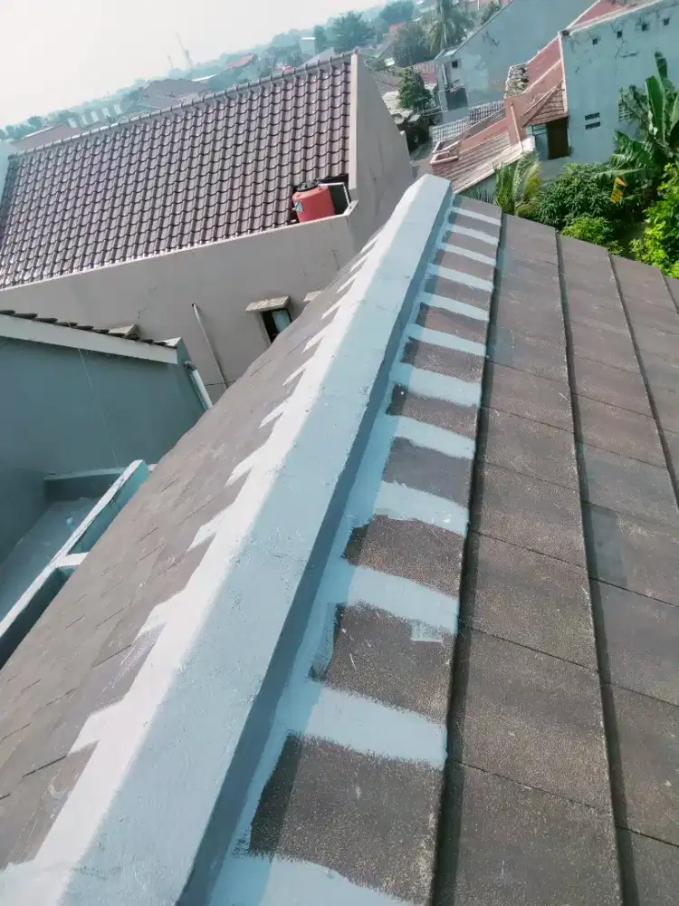 Tukang perbaikan atap bocor dll