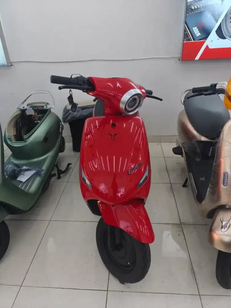 SEPEDA LISTRIK D66I
