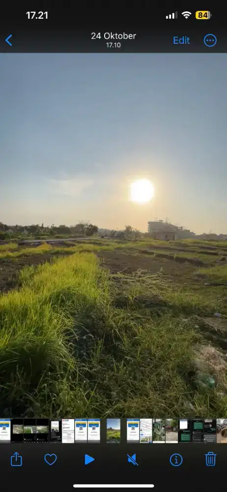 Dicari tukang kebun, tukang kayu