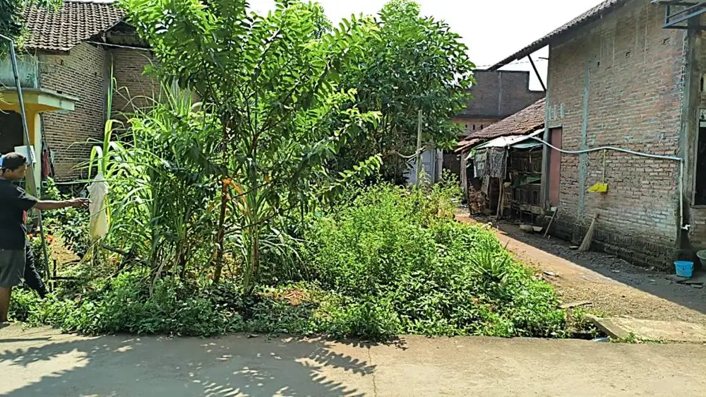 Tanah Krasak Pecangaan Jepara dkt pabrik