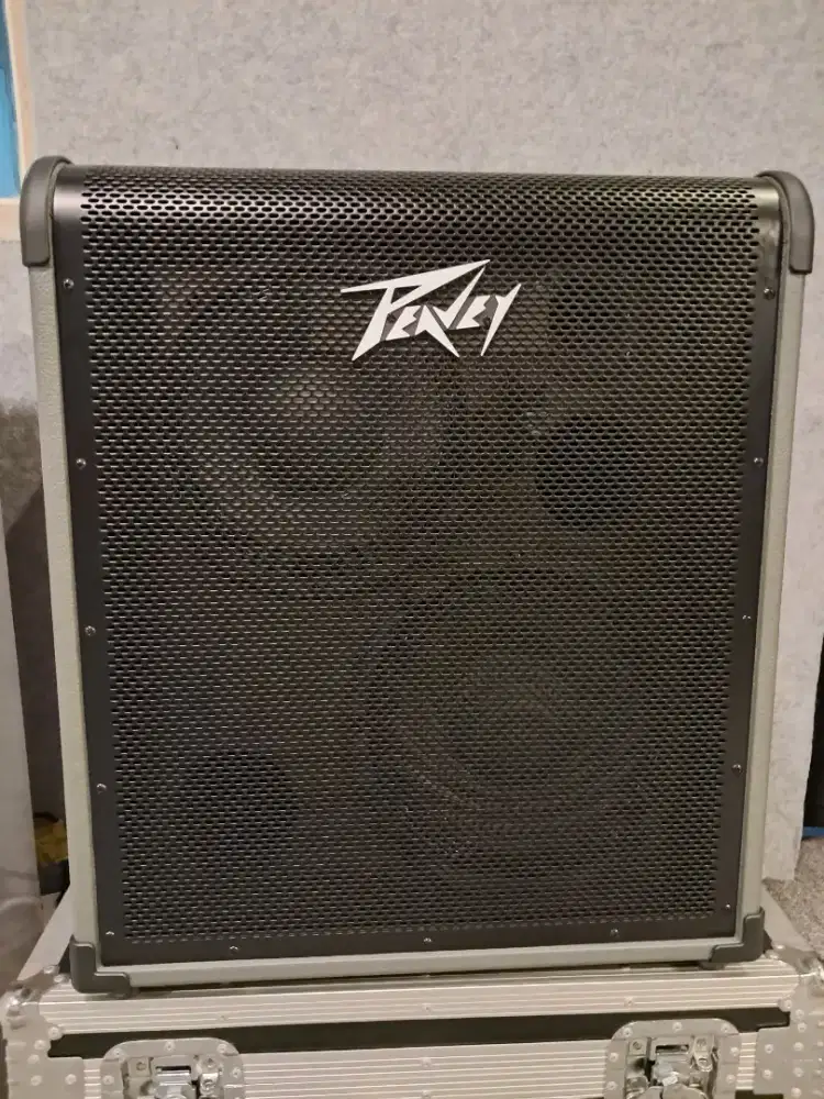 AMPLI BASS PEAVEY MAX 300