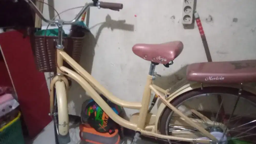 Sepeda mortein dewasa