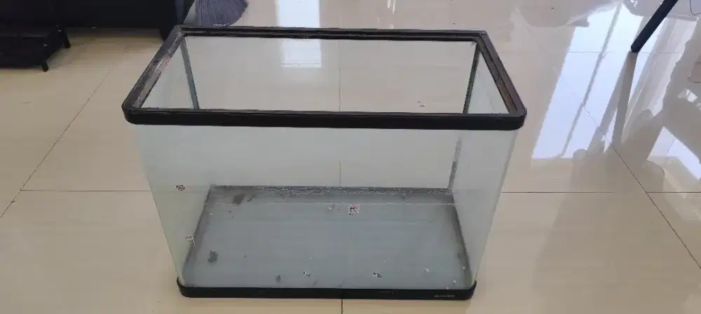 Akuarium Aquarium