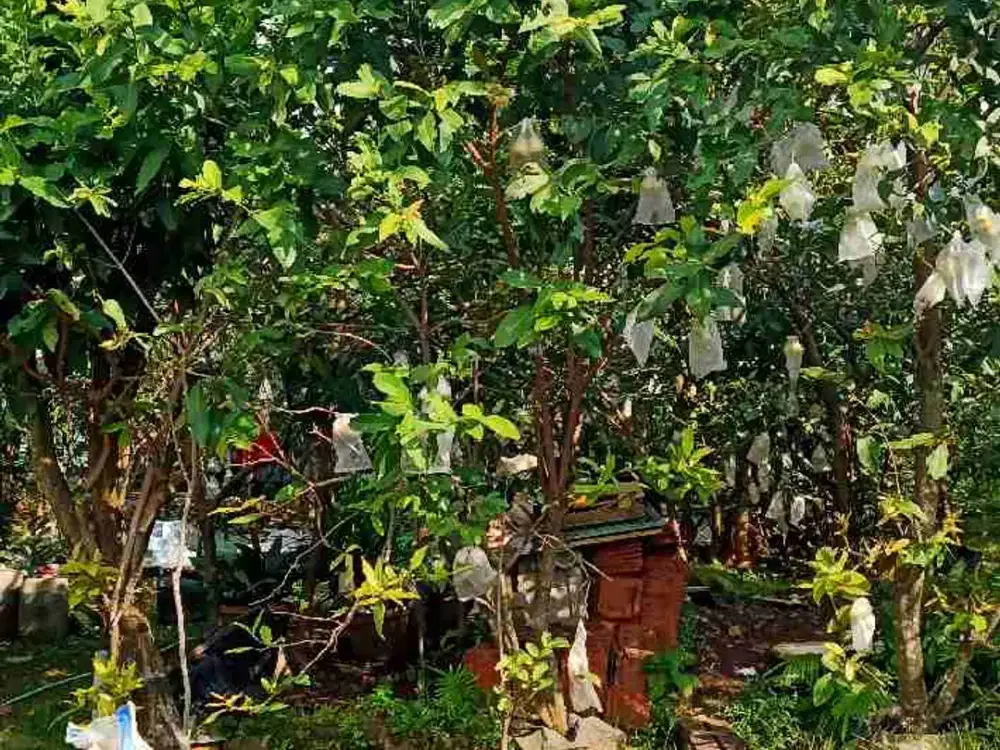 Dijual tanah datar sebelah masjid Jabal nur Gedawang Permai 3 diBanyumanik