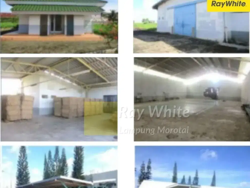 Dijual Tanah Bonus Bangunan di Tanjung Bintang, Lampung Selatan (Kode : MEL 3586)