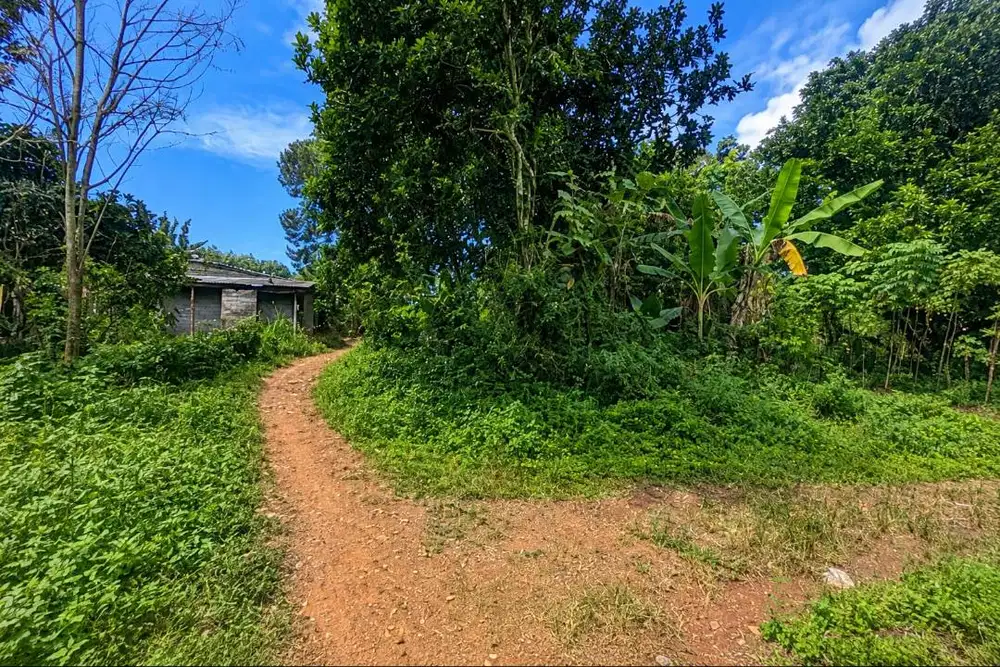 tanah strategis tengah kampung pakintelan gunungpati unnes semarang