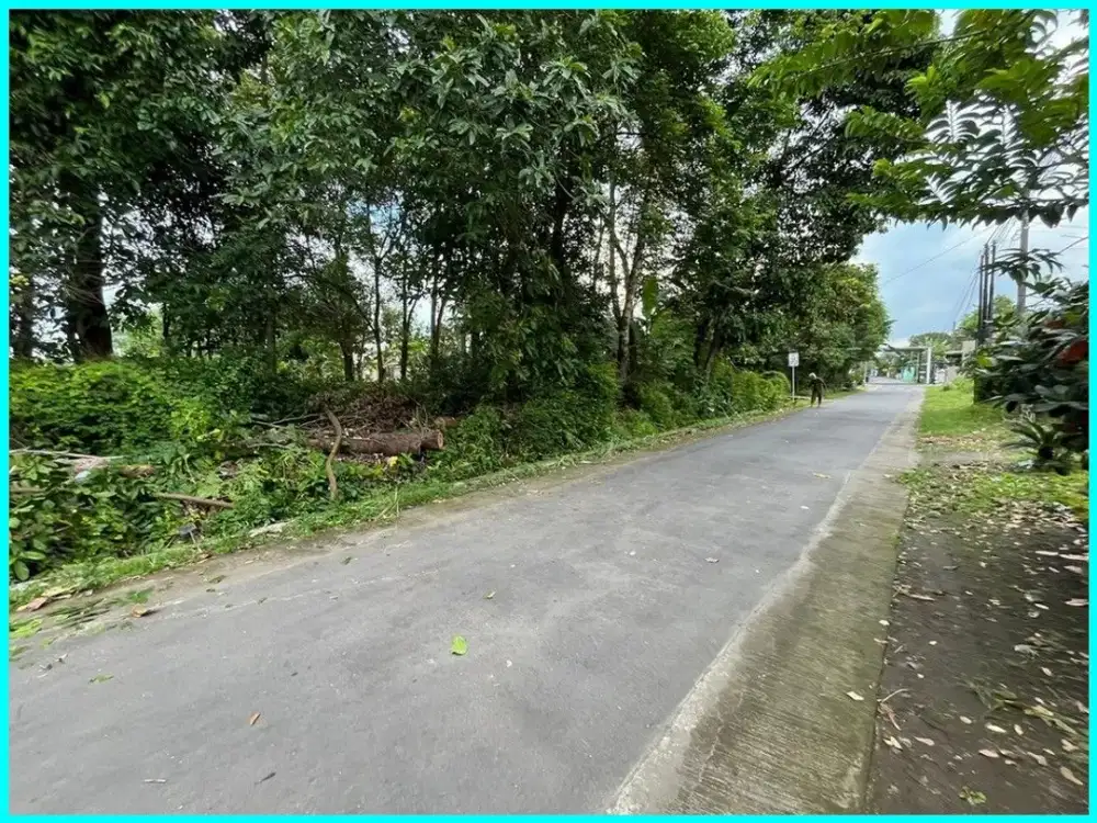 Dekat Candi Kedulan Tanah Dijual Jogja di Tirtomartani