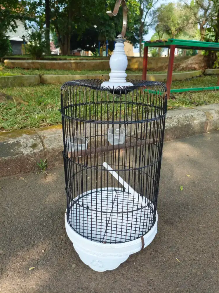 Sangkar F1 putih burung kecil pleci parkit lovebird