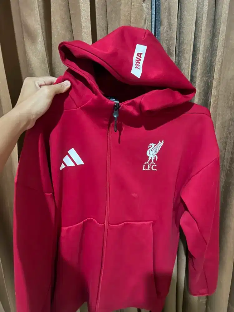 liverpool            .