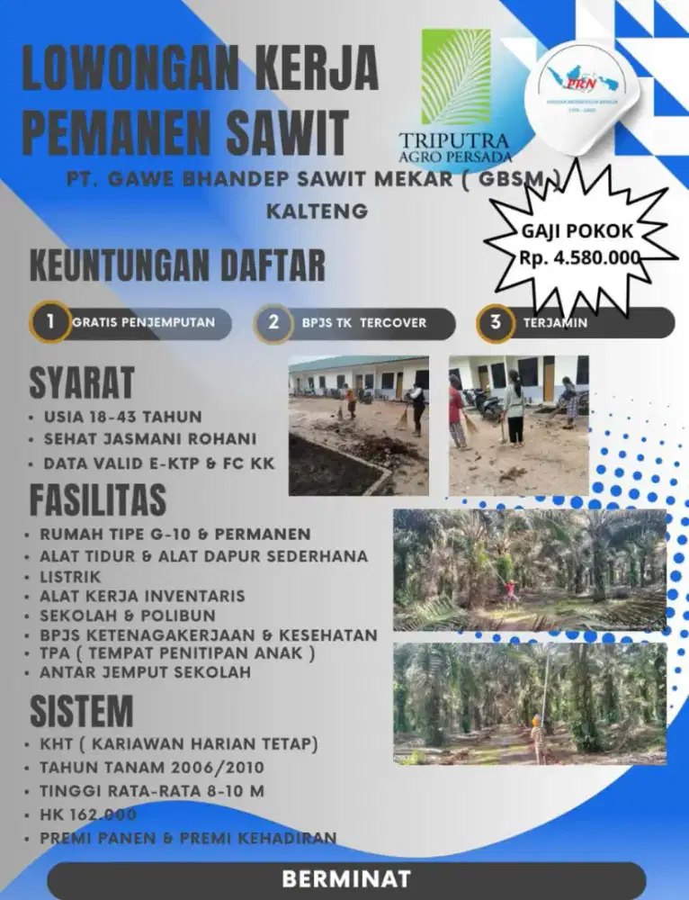 loker panen sawit