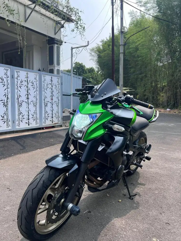 Kawasaki ER-6N ER6N
