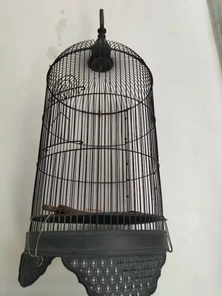 Kandang Burung Lovebird Kenari