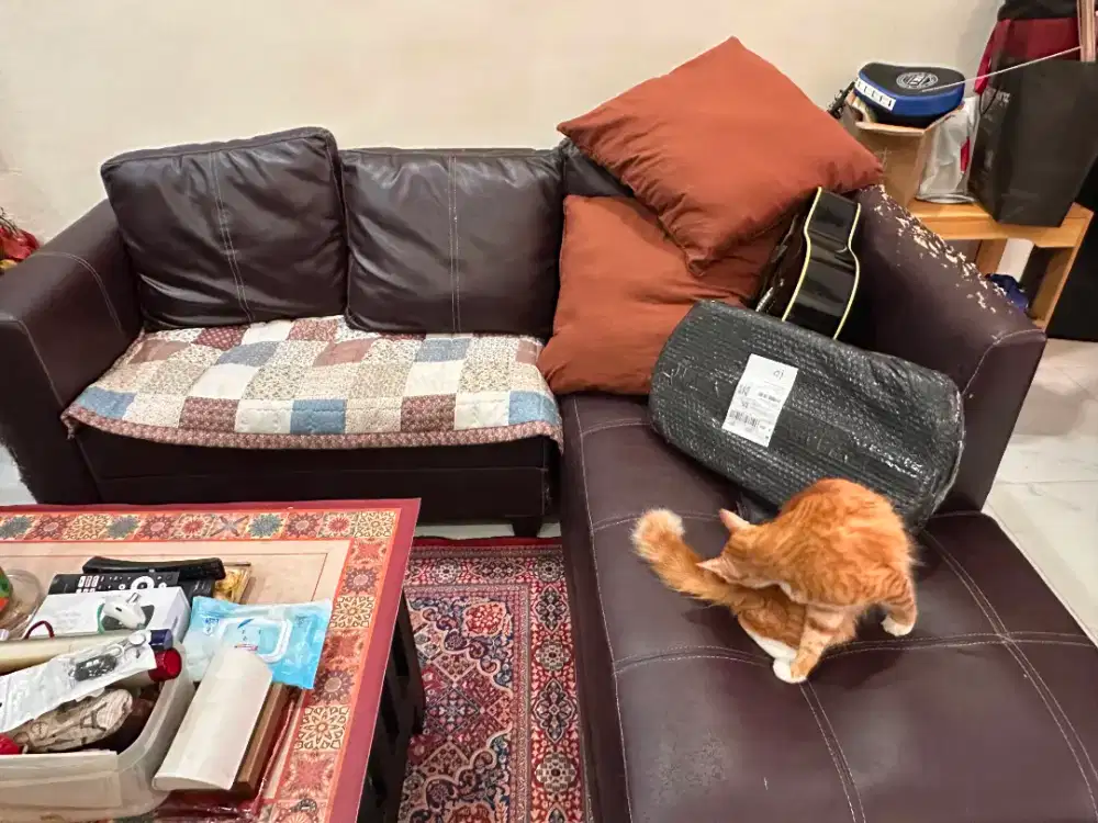 Sofa ruang tamu or nonton TV