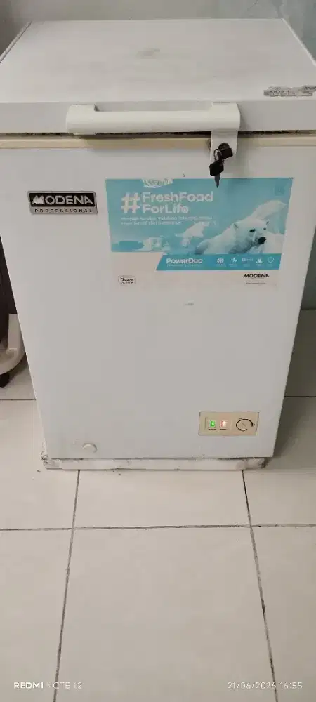 frezeer box modena 100liter