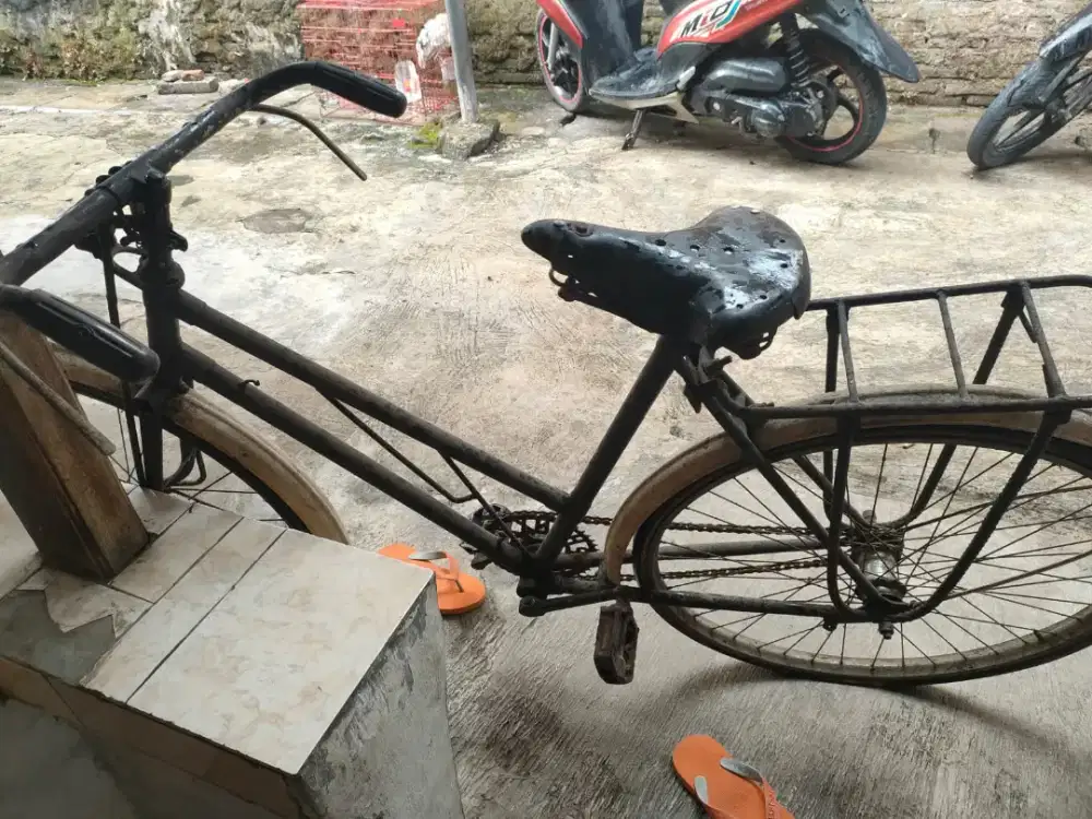 Sepeda ontel mau dijual