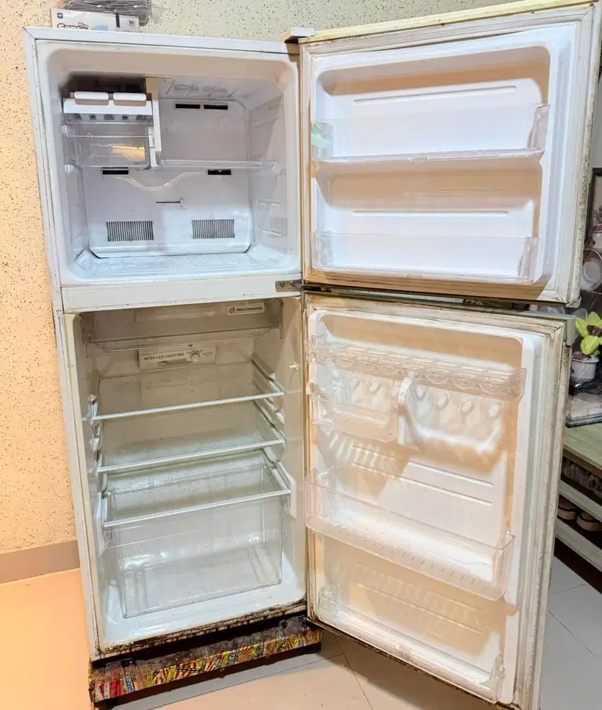 Kulkas sharp 2 pintu