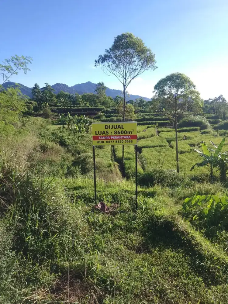 Dijual tanah sawah dan kebun Di Cianjur