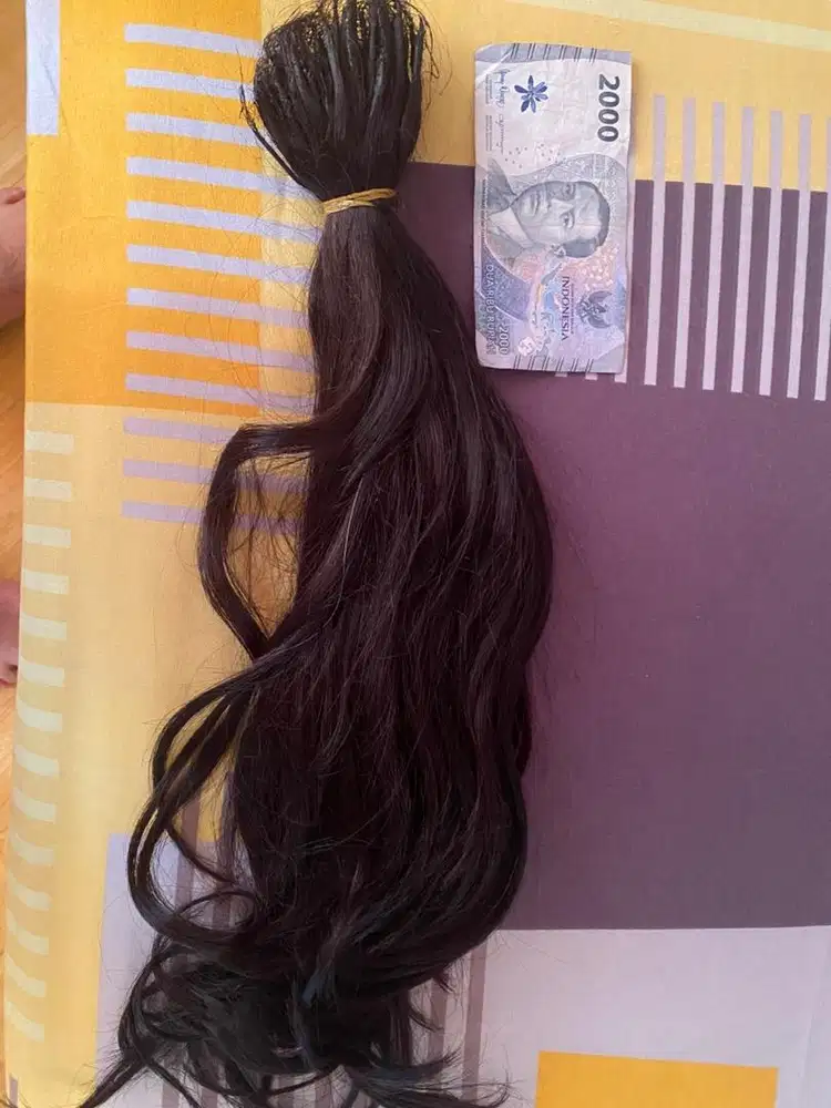 Hair extensiion asli panjang 40-60 cute sp cpt dpt