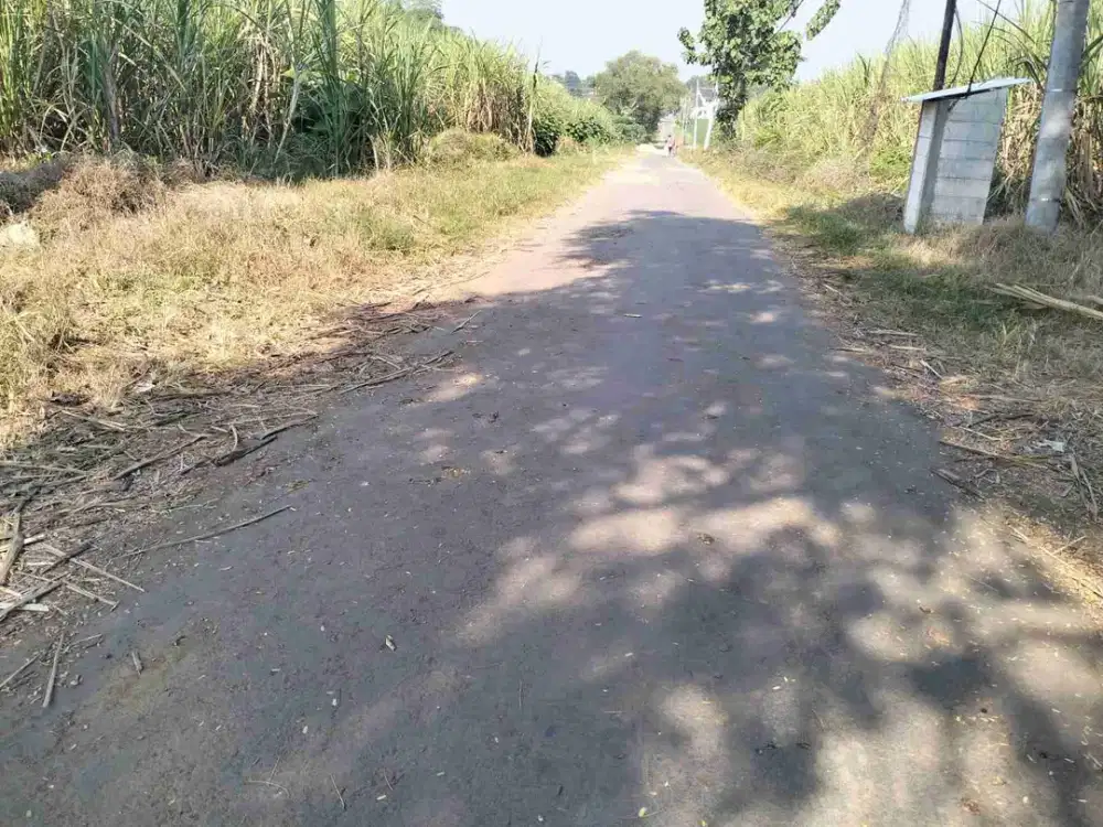 Dijual Lahan Pertanian Luas di Kawasan Banjarsari Dagangan Madiun