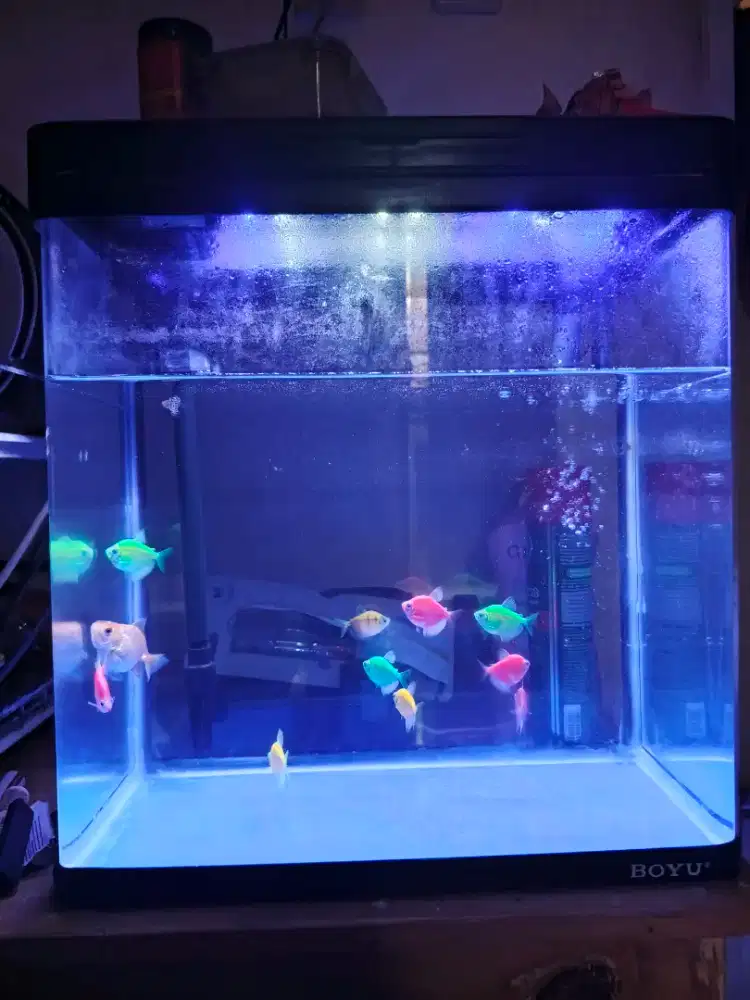 Aquarium merk BOYU