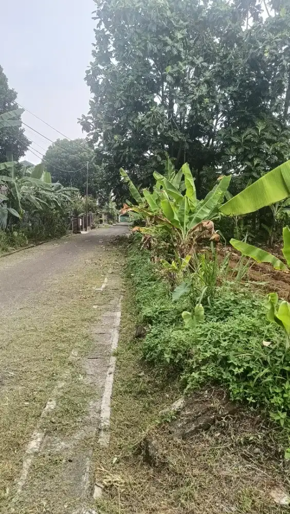 Tanah di jual lokasi nya di Pasirmulya