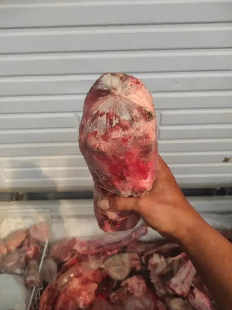 Buntut Sapi Utuh Frozen Kualitas Super