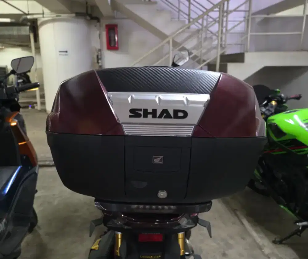 Box Motor Shad 44