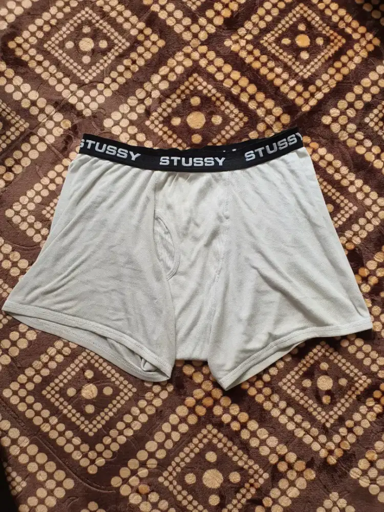 Boxer Stussy briefs