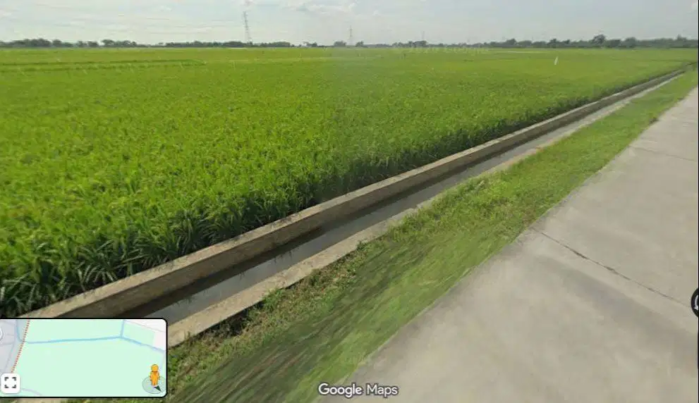 Dijual Sawah Produktif di Brati Grobogan (BU), Desa Karangsari