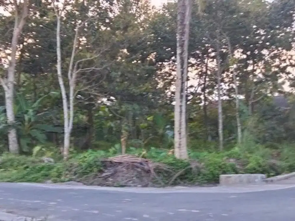 Tanah Sawah Lokasi Strategis Dekat Jalan Jogja - Turi , Pakem Sleman