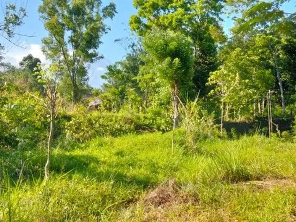 Tanah Pekarangan Lokasi Premium di Kawasan Wisata Gunung Merapi - Pakem Sleman