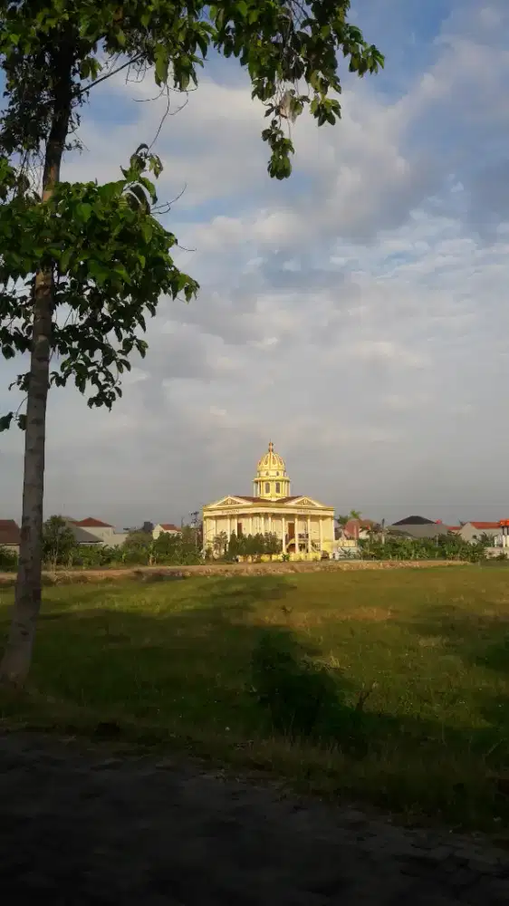 Driver pribadi/Rumah Tangga