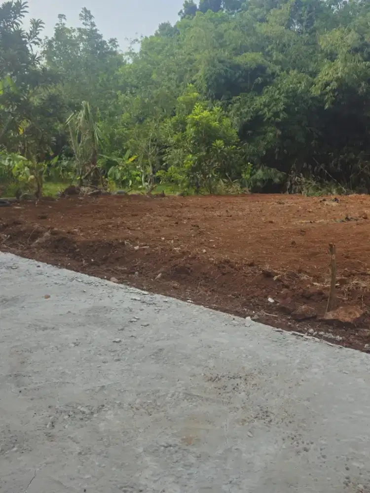 Tanah SHM dekat kampus unwahas siap bangun bisa tempo