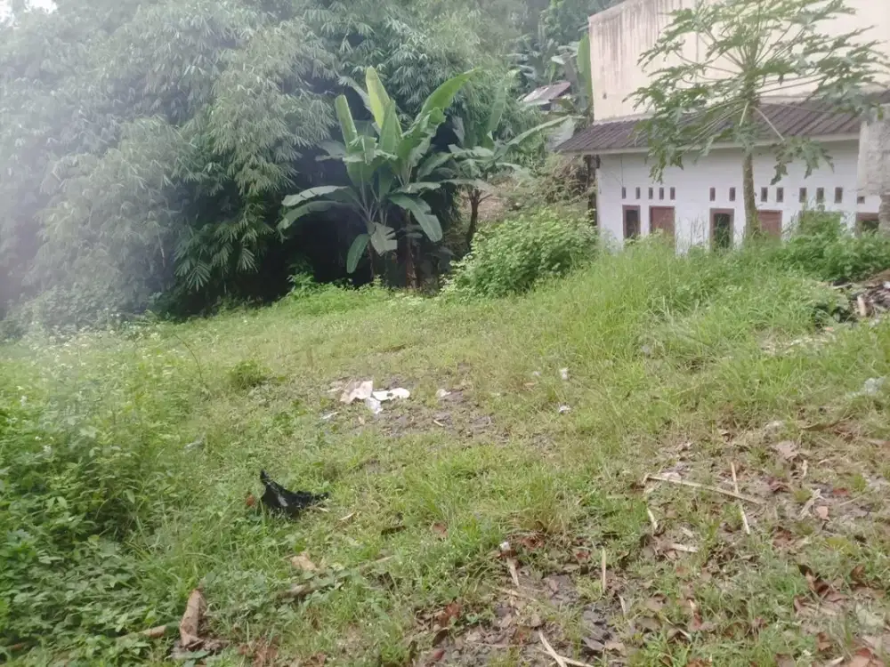Murah !! DIJUAL TANAH DI TUNJUNG TEJA SERANG 2 LOKASI DEPAN DAN BELAKANG COCOK UNTUK PERGUDANGAN DLL