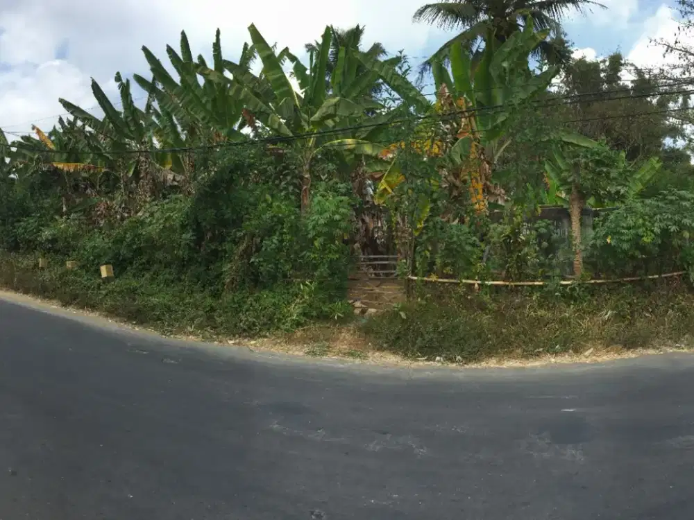 Dijual Tanah Strategis 6.840 m² di Kebonsari Tumpang, Cocok untuk Investasi. Dekat Pasar Tumpang, Alun-Alun Tumpang, Terminal Tumpang, RSUD Tumpang,