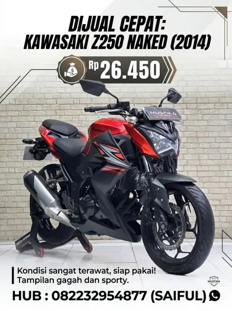 Perfect Condition!!Kawasaki Z 250 Naked 2014 Plat Jatim Mulus-Mustika