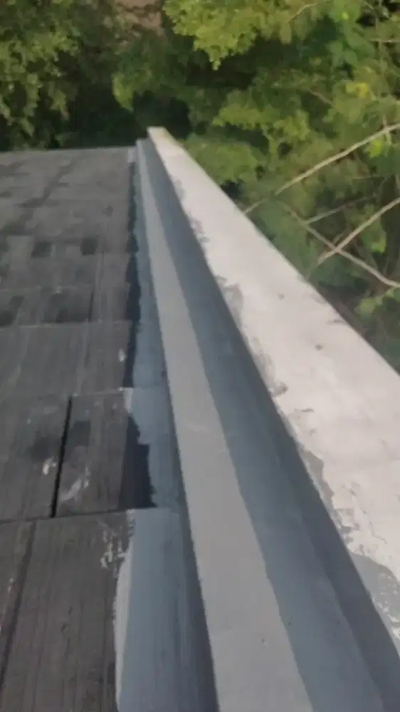 Tukang perbaikan atap bocor dan renovasi rumah dll