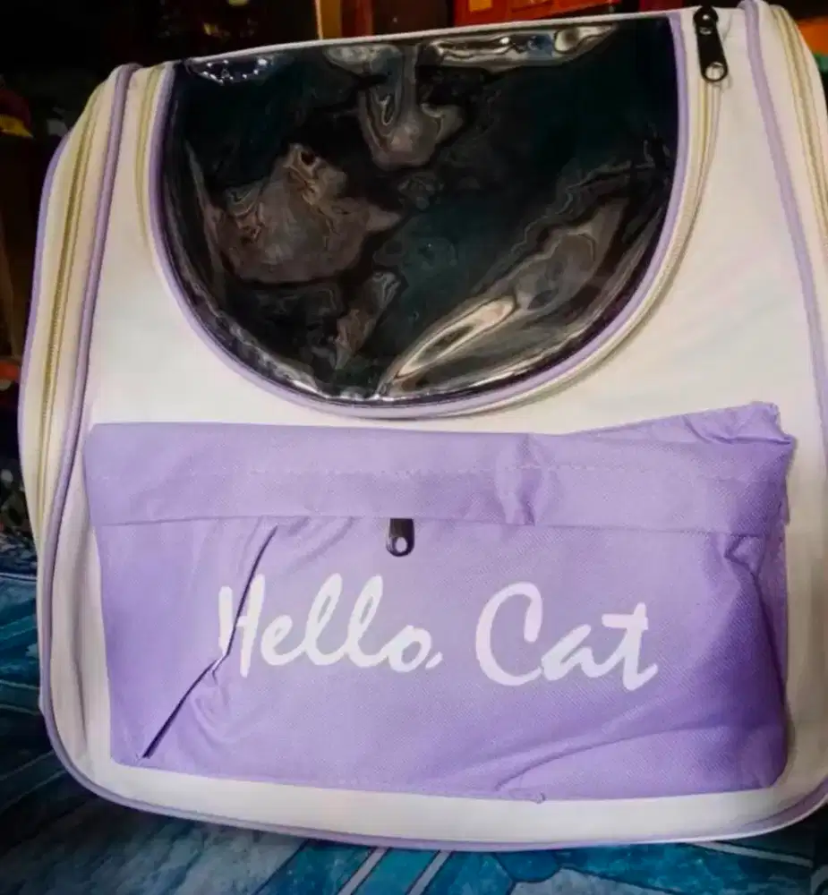Tas untuk kucing