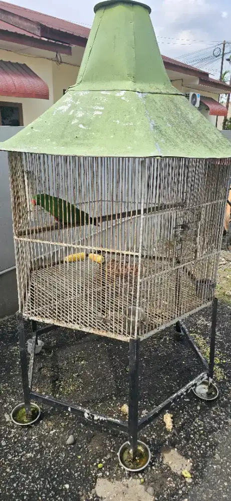 Kandang burung besi