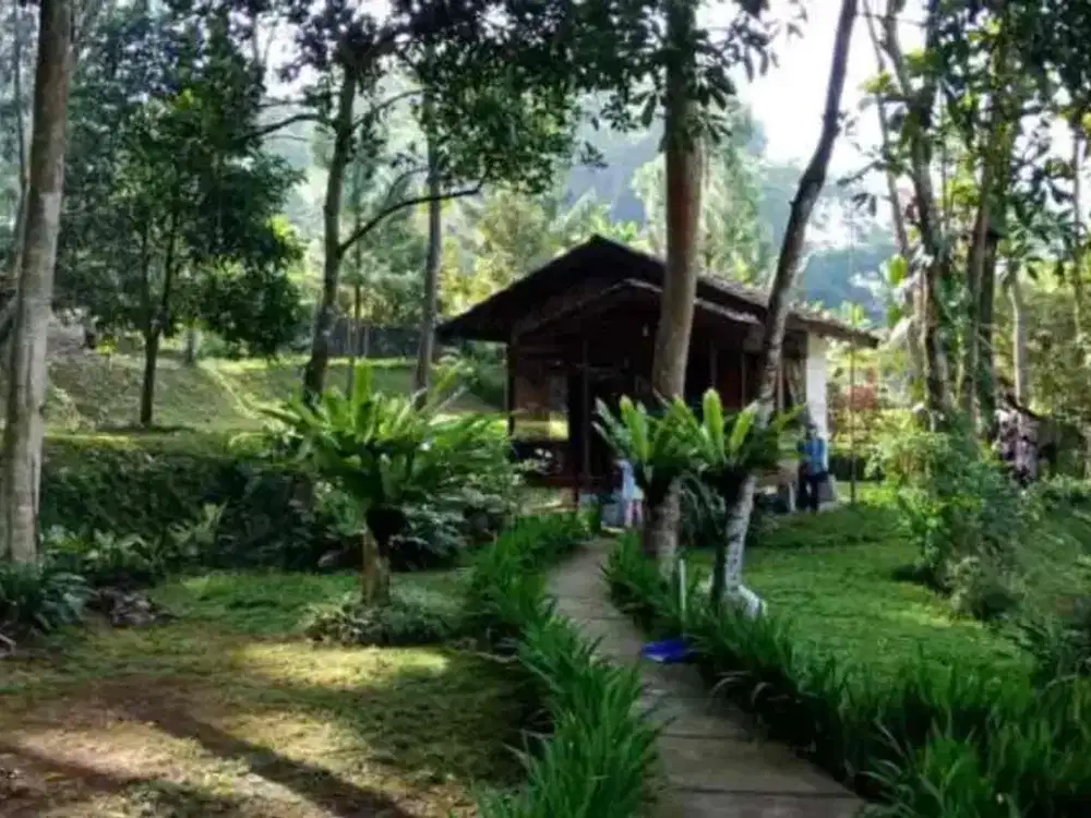 Jual Tanah Cisarua Bogor Dijual Tanah di jalan Kopo Cisarua Puncak Bogor Jual Murah Tanah Puncak Cisarua Jawa Barat