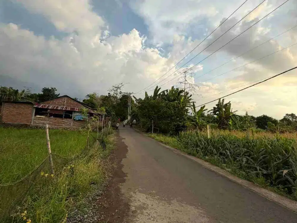 KAVLING RUKO POROS JALAN NIRANNUANG