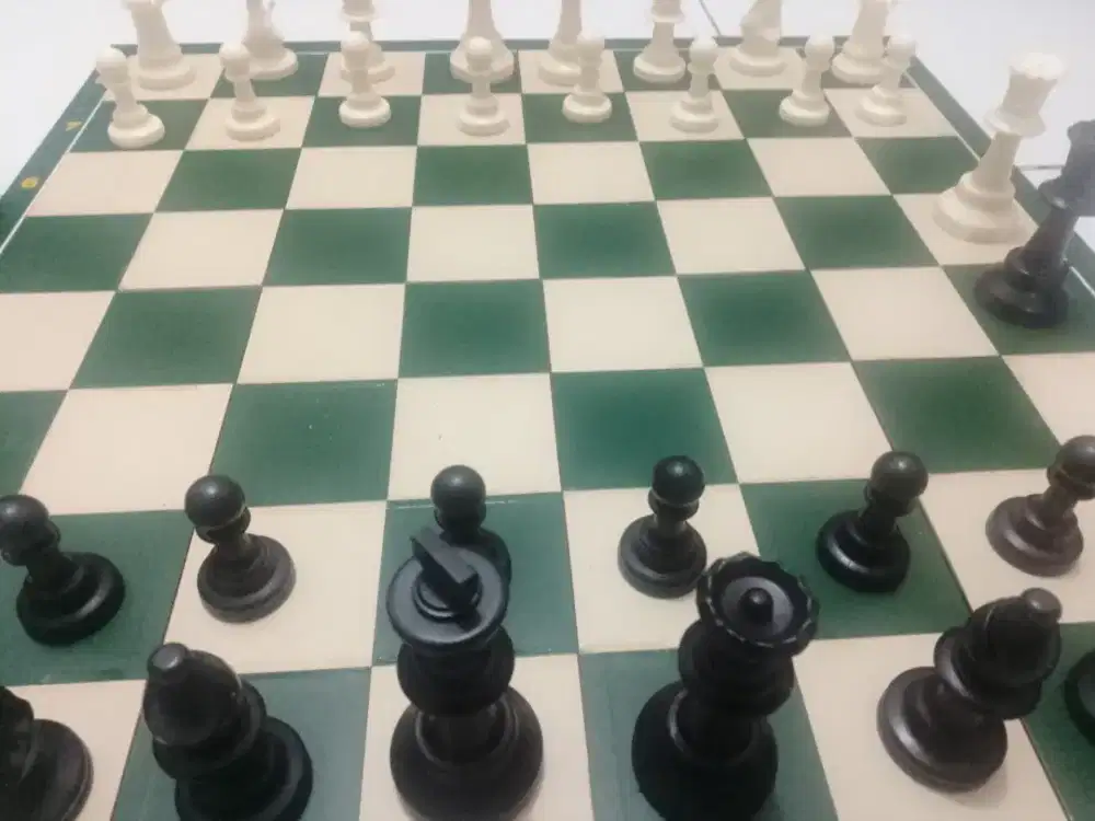 Catur standar percasi