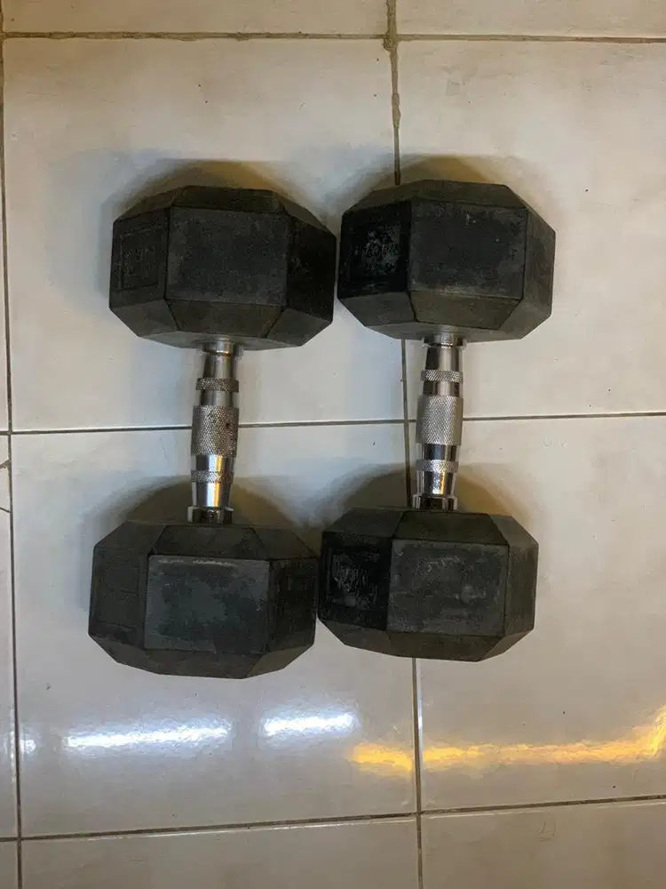 Dumbbell 15KG x 2