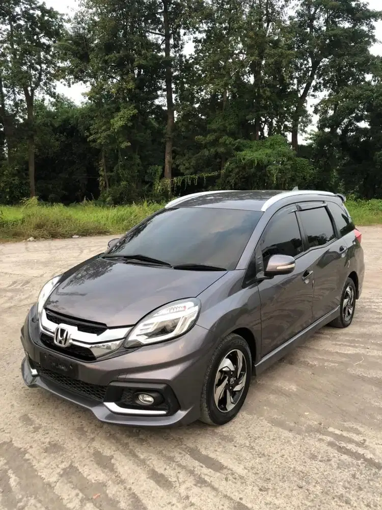 Mobilio RS 2014