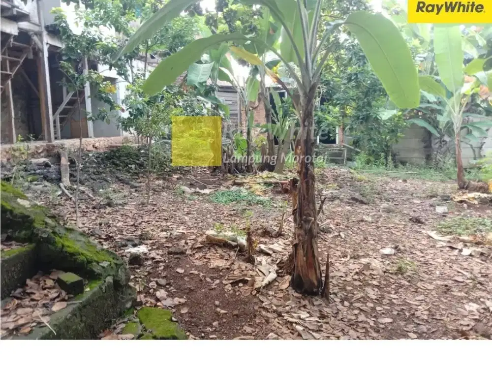 Dijual Tanah di JL. Pramuka, Rajabasa, Bandar LAmpung (Kode ALF 3589)