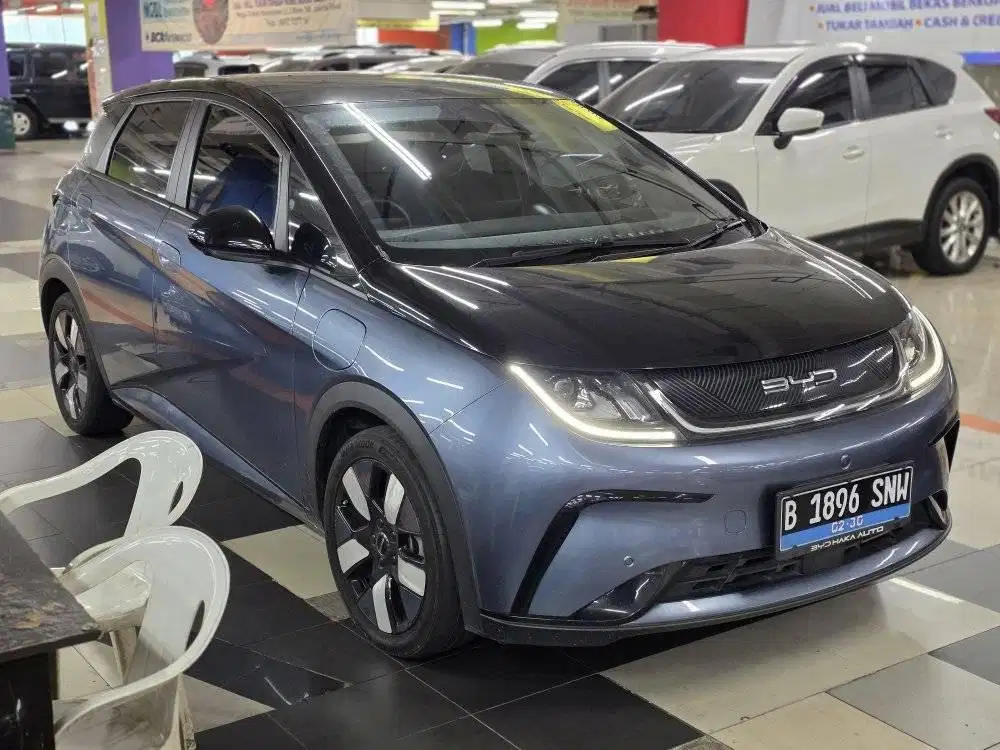 byd dolphin premium 2023 km 490